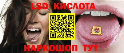 амф Заволжье